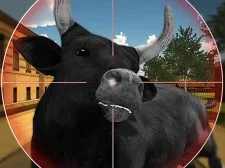 Bull Shooting